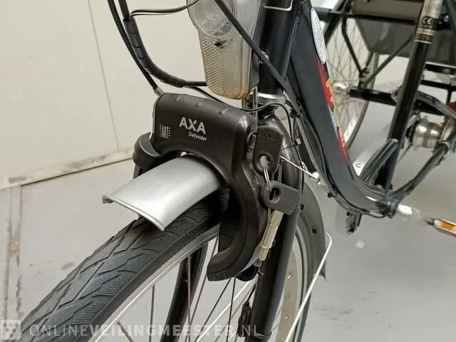 Driewielfiets pfau-tec, proven - afbeelding 5 van  10