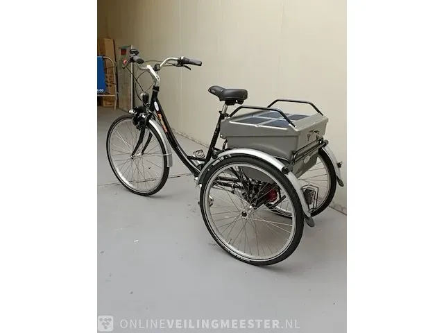 Driewielfiets pfau-tec, proven - afbeelding 6 van  10