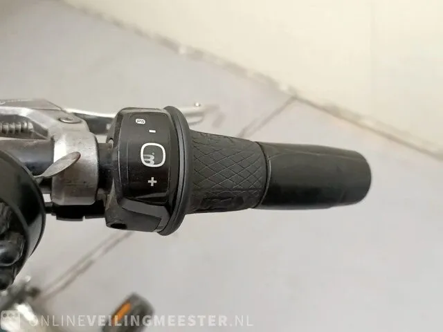 Driewielfiets van raam, easy-rider - afbeelding 3 van  9