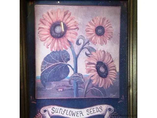 Druk sunflower seeds - afbeelding 3 van  5