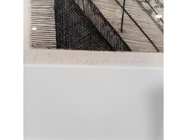 Drukwerk in lijst, f. lensvelt, triage de l'artiste 2/50, 1966 - afbeelding 6 van  9