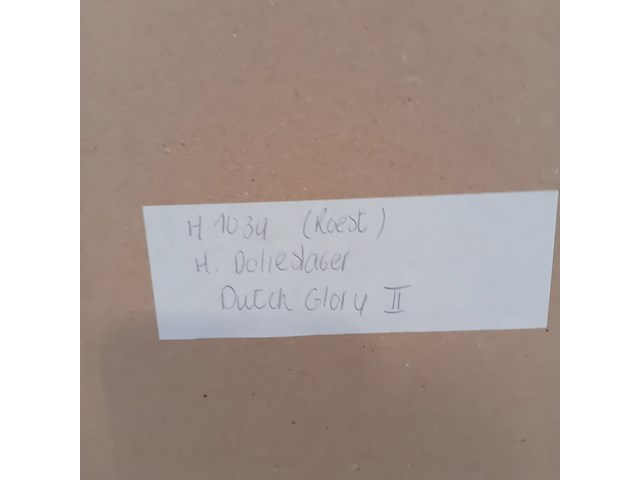 Drukwerk in lijst, h. d' olieslager, dutch glorie ii 24/45, 2001 - afbeelding 2 van  10