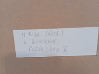 Drukwerk in lijst, h. d' olieslager, dutch glorie ii 24/45, 2001 - afbeelding 2 van  10