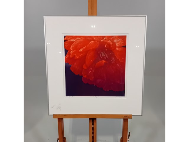 Drukwerk in lijst, h. d' olieslager, dutch glorie ii 24/45, 2001 - afbeelding 1 van  10