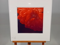 Drukwerk in lijst, h. d' olieslager, dutch glorie ii 24/45, 2001 - afbeelding 1 van  10