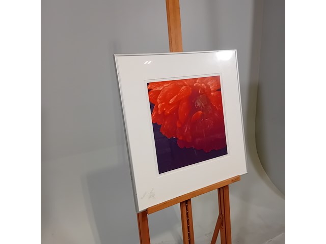 Drukwerk in lijst, h. d' olieslager, dutch glorie ii 24/45, 2001 - afbeelding 3 van  10