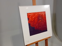 Drukwerk in lijst, h. d' olieslager, dutch glorie ii 24/45, 2001 - afbeelding 3 van  10