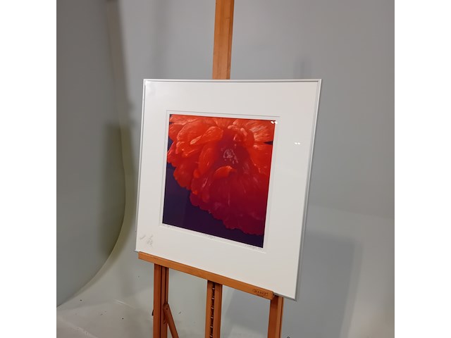 Drukwerk in lijst, h. d' olieslager, dutch glorie ii 24/45, 2001 - afbeelding 4 van  10