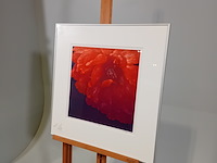 Drukwerk in lijst, h. d' olieslager, dutch glorie ii 24/45, 2001 - afbeelding 4 van  10