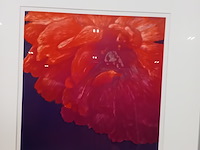 Drukwerk in lijst, h. d' olieslager, dutch glorie ii 24/45, 2001 - afbeelding 5 van  10