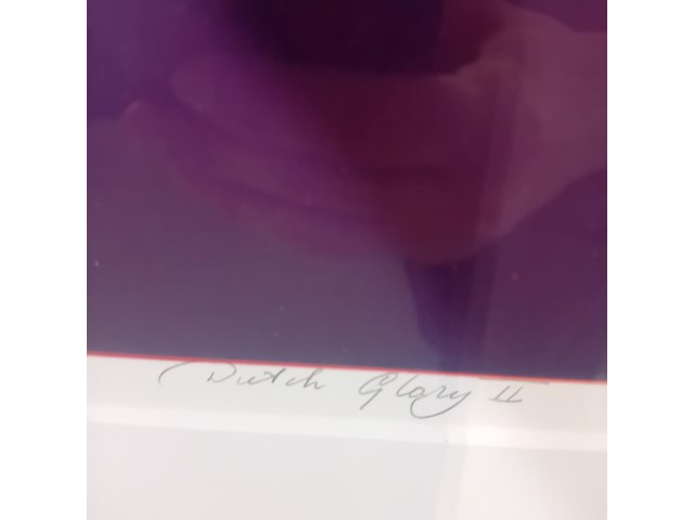 Drukwerk in lijst, h. d' olieslager, dutch glorie ii 24/45, 2001 - afbeelding 7 van  10