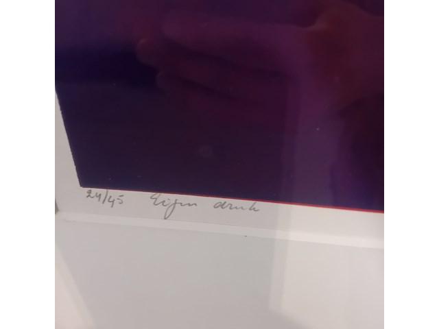 Drukwerk in lijst, h. d' olieslager, dutch glorie ii 24/45, 2001 - afbeelding 8 van  10