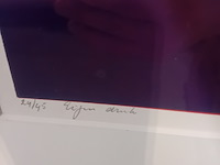 Drukwerk in lijst, h. d' olieslager, dutch glorie ii 24/45, 2001 - afbeelding 8 van  10