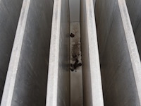 Dsi freezing solutions - afbeelding 11 van  12