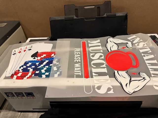 Dtf printers – erasmart en colorsun (2x a3+) - afbeelding 9 van  23