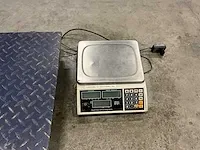 Dual channel platform scales - afbeelding 3 van  4