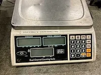 Dual channel platform scales - afbeelding 4 van  4