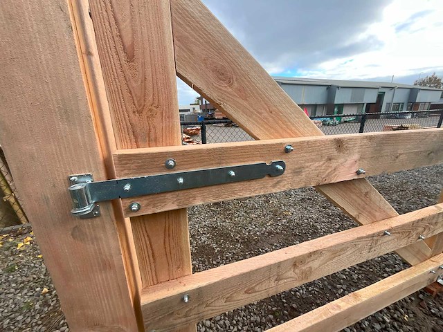 Dubbele poort douglas - 400x100 cm - afbeelding 4 van  4