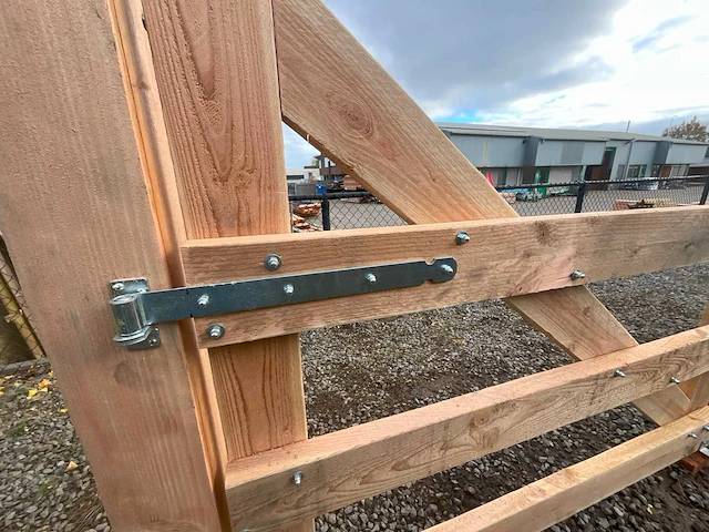 Dubbele poort douglas - 500x100 cm - afbeelding 4 van  4