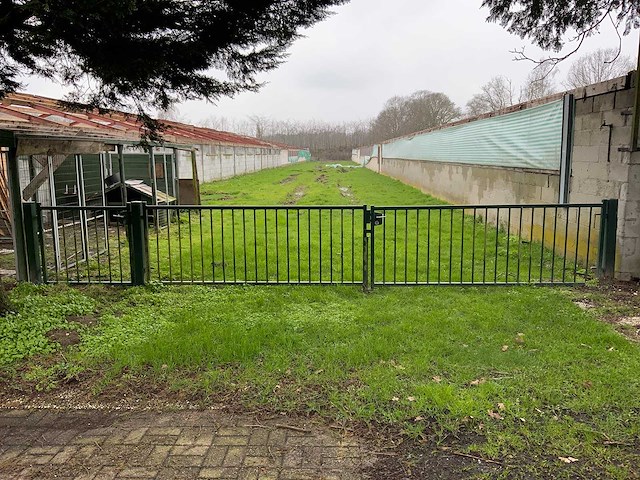 Dubbele poort - afbeelding 1 van  9