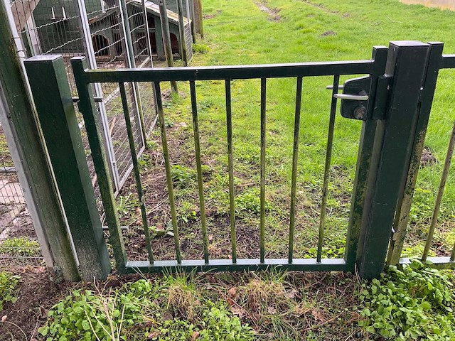 Dubbele poort - afbeelding 4 van  9