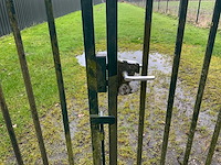 Dubbele poort - afbeelding 4 van  9