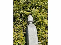 Dubbele vleugelpoort - 4 meter - afbeelding 5 van  10