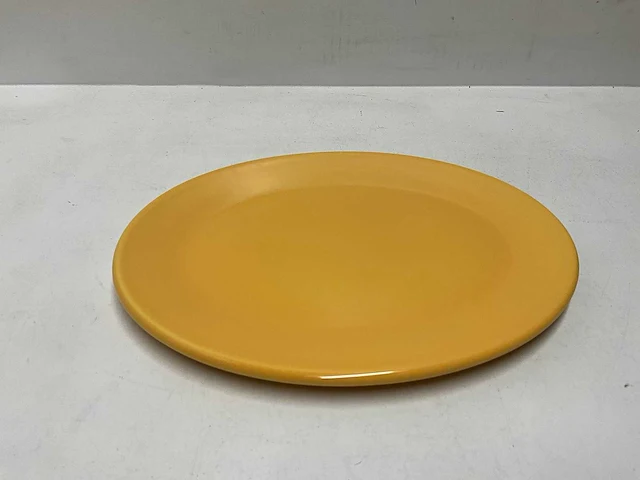Dudson artisan ovale borden 21x17cm (horeca porselein) (552x) - afbeelding 1 van  4