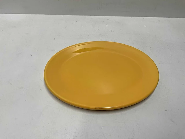 Dudson artisan ovale borden 21x17cm (horeca porselein) (552x) - afbeelding 2 van  4