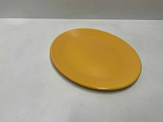 Dudson artisan ovale borden 21x17cm (horeca porselein) (552x) - afbeelding 4 van  4