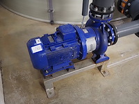 Duijvelaar pompen - afbeelding 1 van  7