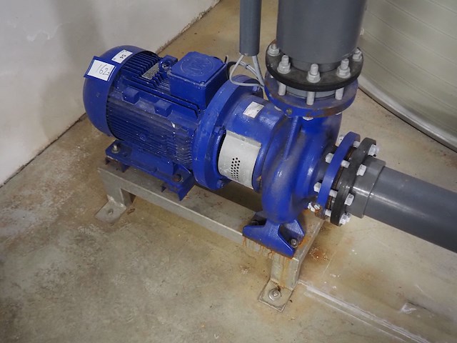 Duijvelaar pompen - afbeelding 2 van  7