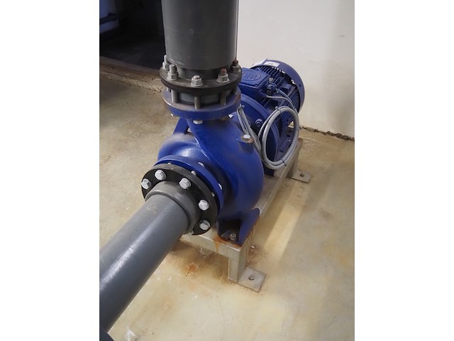 Duijvelaar pompen - afbeelding 3 van  7