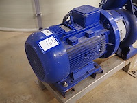 Duijvelaar pompen - afbeelding 4 van  7