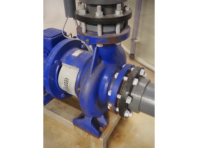 Duijvelaar pompen - afbeelding 5 van  7