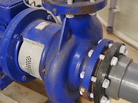 Duijvelaar pompen - afbeelding 5 van  7