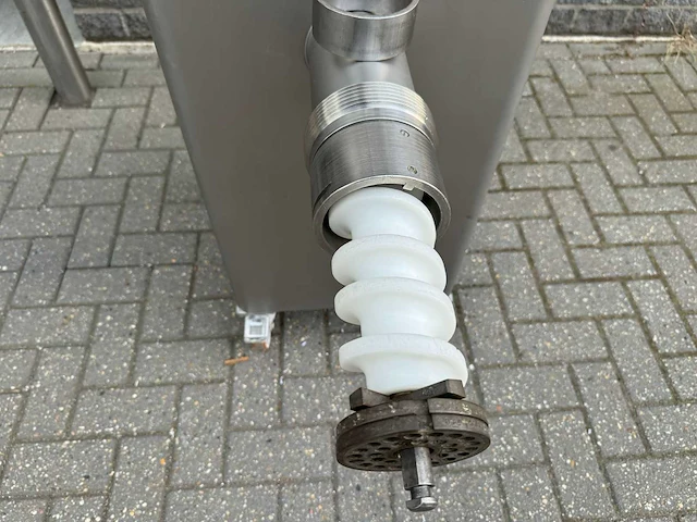 Düker - rex - vleeswolf - afbeelding 2 van  5
