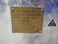 Düker / rex - afbeelding 3 van  12