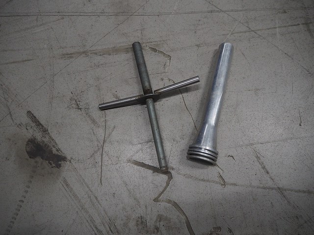 Düker / rex - afbeelding 4 van  12