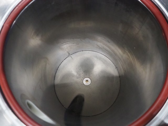 Düker / rex - afbeelding 8 van  12