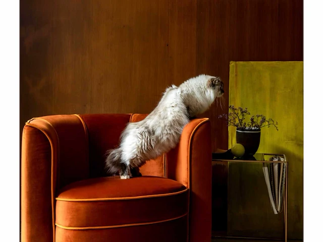 Dutchbone flower fauteuil - afbeelding 12 van  13