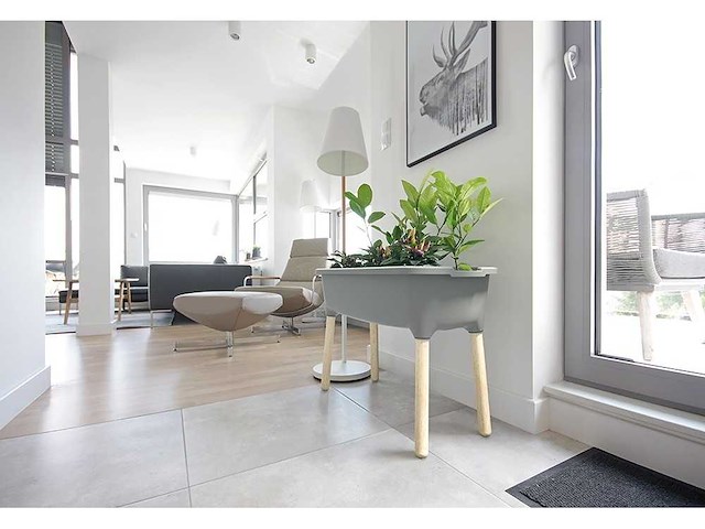 Dutchlander - respana - kweektafel (14x) - afbeelding 5 van  7