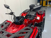 Dw - atv 300cc - quad - afbeelding 8 van  21