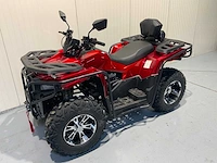 Dw - atv 300cc - quad - afbeelding 1 van  21