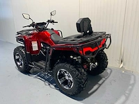 Dw - atv 300cc - quad - afbeelding 15 van  21