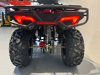 Dw - atv 300cc - quad - afbeelding 17 van  21