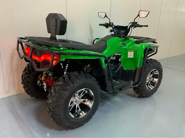 Dw atv 300cc quad - afbeelding 17 van  22