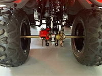 Dw atv 300cc quad - afbeelding 25 van  31