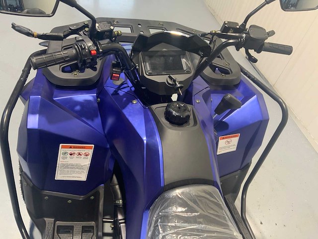 Dw atv 300cc quad - afbeelding 21 van  31