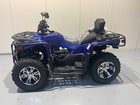 Dw atv 300cc quad - afbeelding 12 van  31